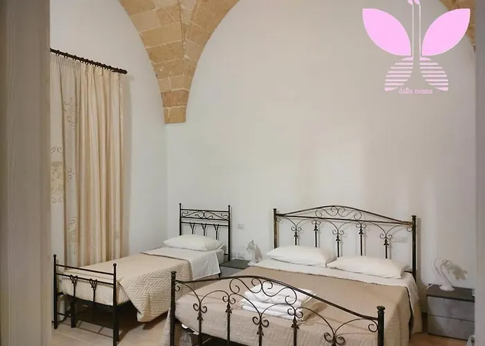 Dalla Nonna * 노볼리